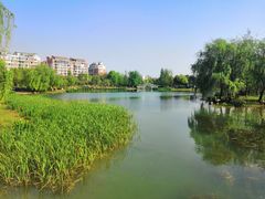 -大米先生(成都青龙街店)