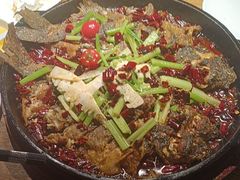 -老板恋上鱼(高新万达店)