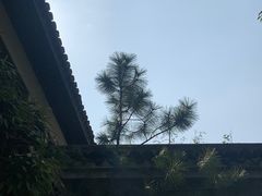 -汇龙潭