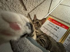 -逃脱反斗城沉浸剧情密室(北京路店)