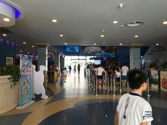 -芜湖新华联大白鲸海洋公园