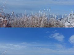-秦岭风景区