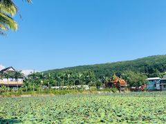 -曼丢傣家古寨
