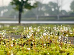 -尚贤河湿地
