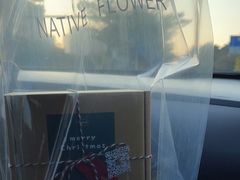 -Native Flower 莱提花艺(南海新天地广场店)