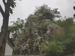 -深圳国际园林花卉博览园