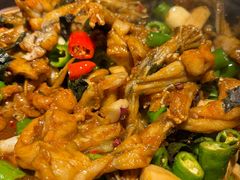 -淘蛙(广州星寰国际商业中心店)