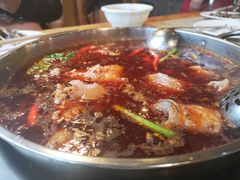 -蜀滋香鲜鱼美蛙火锅(339店)