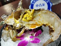 -东海怡品海鲜豆捞(舟宿夜江店)