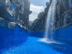 -厦门方特水上乐园