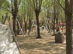 -西部长青自然儿童乐园