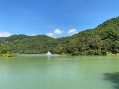 -广州白江湖森林公园