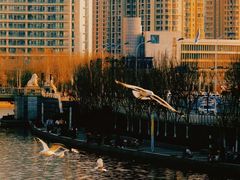 -天津之眼摩天轮