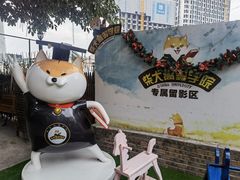 -柴犬高等学院·狗咖·柴犬售卖·宠物训练