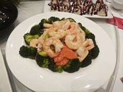 -双井轩(双井店)