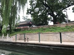 -皇家御河游(紫御湾码头)
