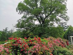 -国家植物园南园