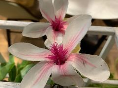 -原味田园·客家菜·土窑鸡(中航城君尚购物中心店)