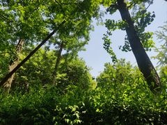 -西山漾湿地公园