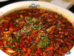毛血旺-陈麻婆豆腐总店