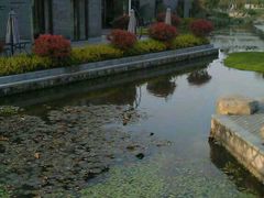 -杭州城北体育公园