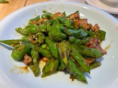 -鸽小宝(深圳首店)