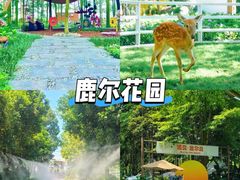 -老鼎万春卤菜(五代传承创始老店)