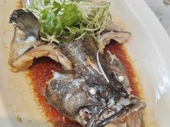 -顺峰(农展馆店)