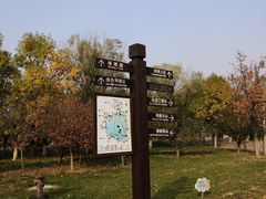 -武清南湖绿博园