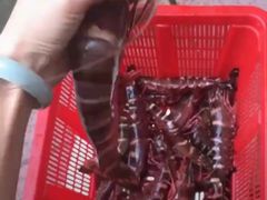 -虾易落味(杭州黄龙万科中心店)