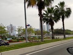 -深圳湾公园(南山区)
