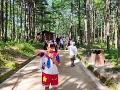 -洛阳白云山景区