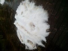 android_upload_pic-西双版纳安纳塔拉度假酒店