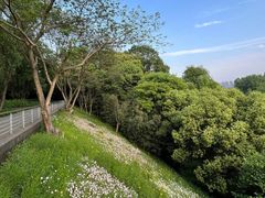 -西湖风景区-江洋畈生态公园