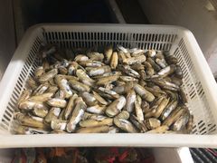 -杨记海鲜楼(三门黑金冠店)