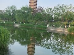 -西海子公园