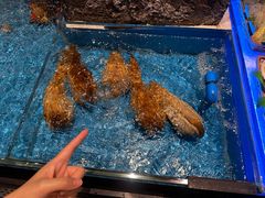 -百富源·海鲜辽菜(和平北大街店)