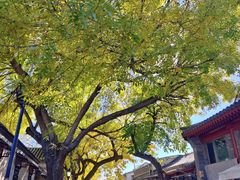 -古耳咖啡(北锣店)