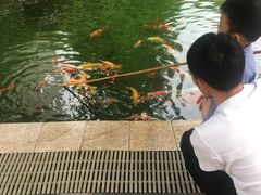 -中铁花水湾温泉酒店(大邑店)