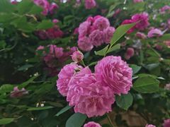 -常州古运河南大街文化旅游区-人民公园