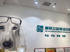 -美联众合动物医院·24h转诊中心
