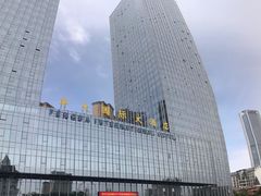 -合肥丰大国际大酒店