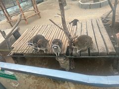 -济南野生动物世界