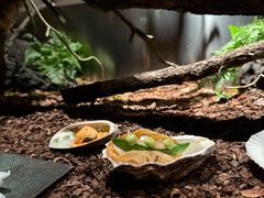 -曲廊院(东四十一条店)