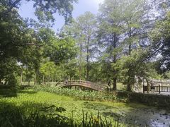 -东湖落雁景区