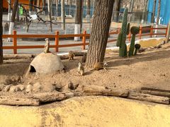 -VS SPORTS PARK运动玩乐园·团建·生日会(合生汇店)