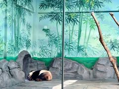 -秦皇岛野生动物园