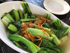 -石岐乳鸽村(桥观坊南四巷店)
