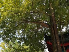 -金堂县云顶石城风景区