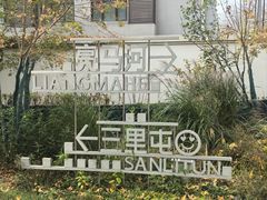 -三里屯东五街银杏大道
